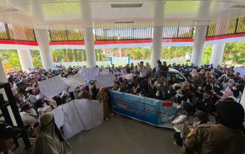 Ribuan Tenaga Kontrak di Mamuju Aksi Desak Kepastian Nasib
