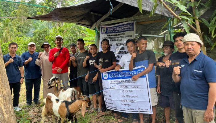 Warga Keberatan ke Humas Pemprov Sulbar, Foto Bantuan Kambing Dijadikan Sampul Rilis Bantuan Kakao