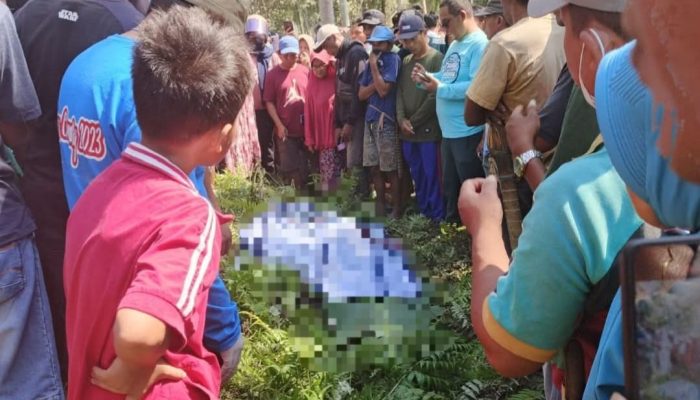 Hilang Usai Tagih Nasabah, Karyawati Koperasi di Pasangkayu Ditemukan Tewas di Kebun Warga