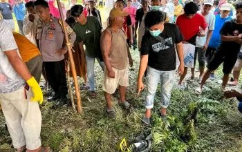 Karyawati Koperasi di Pasangkayu Tewas Dibunuh Suami Nasabah Karena Kesal