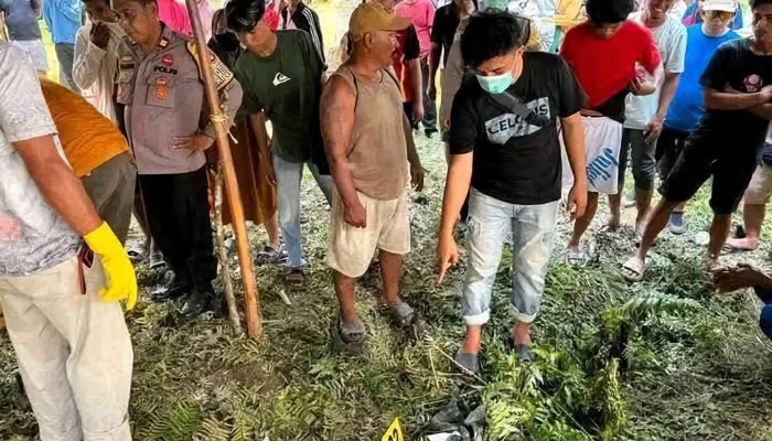 Karyawati Koperasi di Pasangkayu Tewas Dibunuh Suami Nasabah Karena Kesal