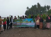 Warga dan Mahasiswa Unika Mamuju Tanam 200 Bibit Mangrove di Pantai Maliaya, Upaya Selamatkan Ekosistem Laut
