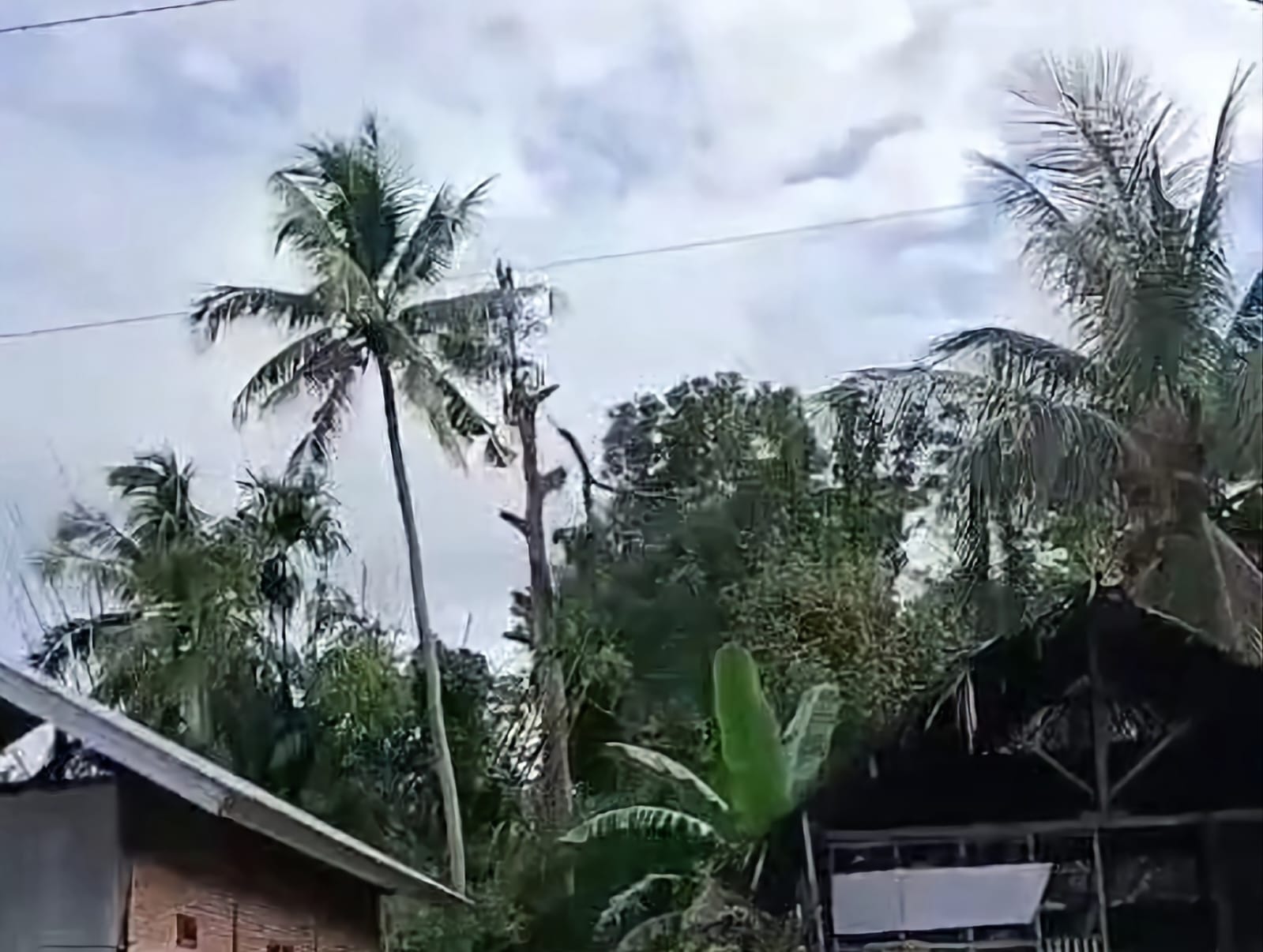 Jatuh dari pohon durian