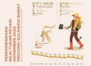 NTP Sulbar November 2025 Anjlok 2,8 Persen, Picu Daya Beli Petani Tertekan