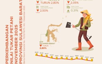 NTP Sulbar November 2025 Anjlok 2,8 Persen, Picu Daya Beli Petani Tertekan
