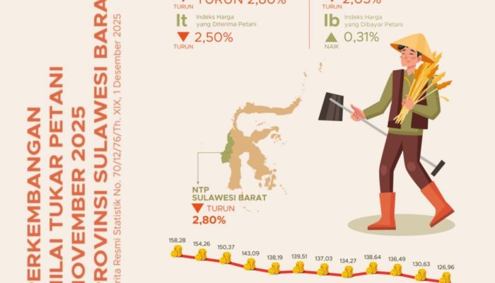 NTP Sulbar November 2025 Anjlok 2,8 Persen, Picu Daya Beli Petani Tertekan