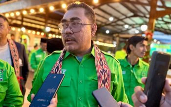 Wakil Ketua Umum PKB