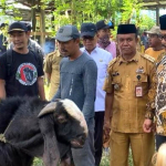 Bantuan Kambing Pemprov Sulbar