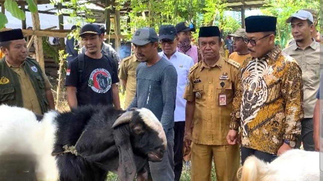 Bantuan Kambing Pemprov Sulbar