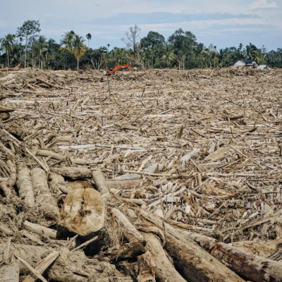 Dampak Bencana Banjir Sumatera