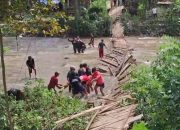 Jembatan Ambuk di Karama Kalumpang