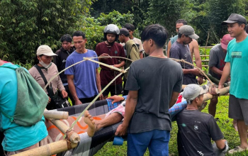 Warg sakit di Kalumpang Ditandu