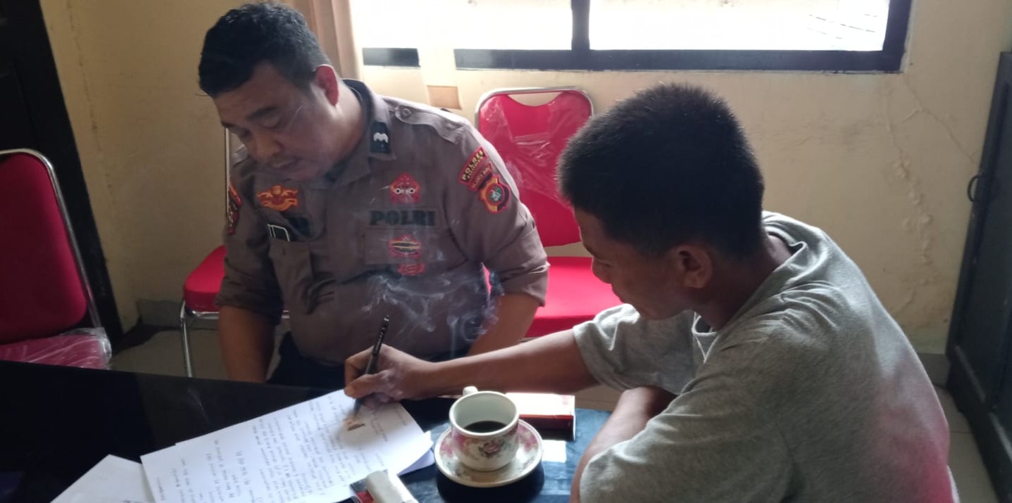 Pencruian Buah Sawit di Pasangkayu