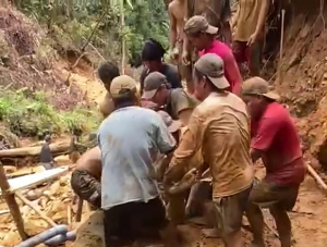 Tewas di Tambang Emas Kalumpang