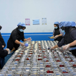 52 SPPG di Sulbar di-suspenda sementara.