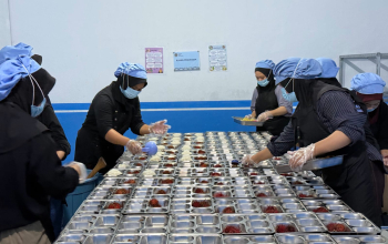 52 SPPG di Sulbar di-suspenda sementara.