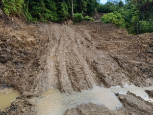 Jalan Kalumpang Karataun