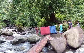 Pasien dari Salutahongan Majene Ditandu