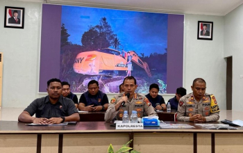 Tambang emas ilegal Bonehau