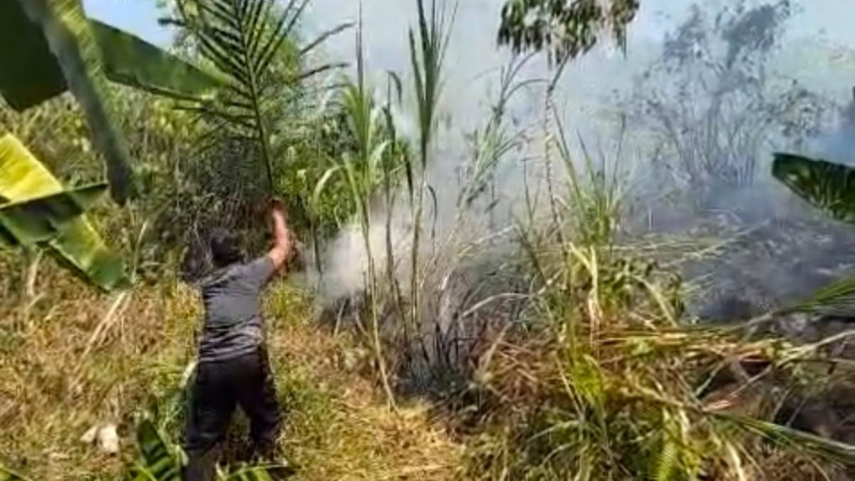 Kebakaran Lahan di Kalukku