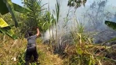 Kebakaran Lahan di Kalukku
